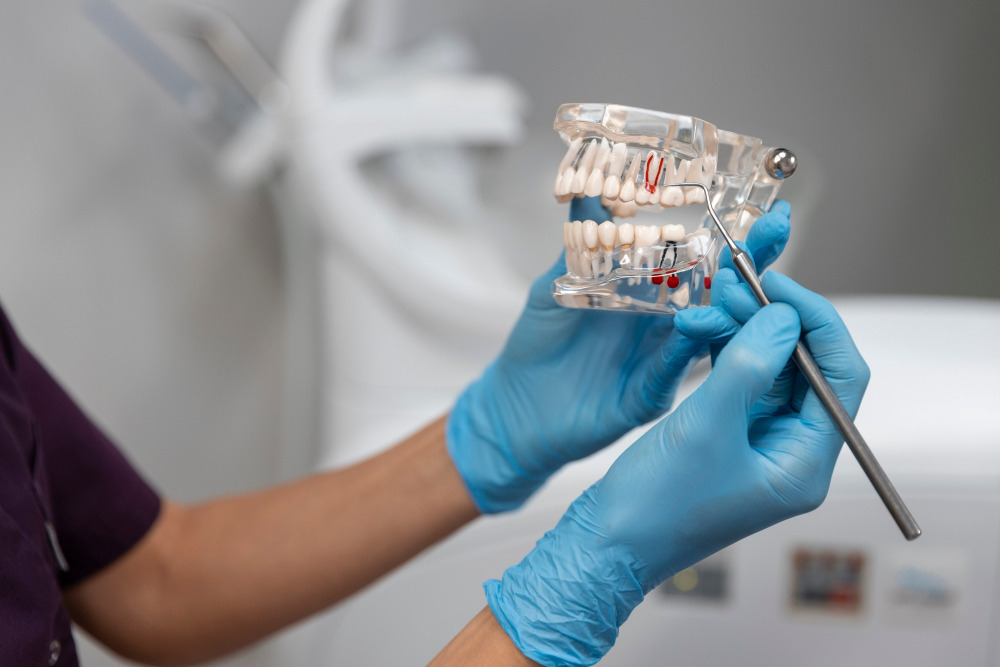 Diagnostyka i planowanie – lekarz analizuje przezroczysty model szczęki, przygotowując indywidualne leczenie ortodontyczne dla pacjenta.